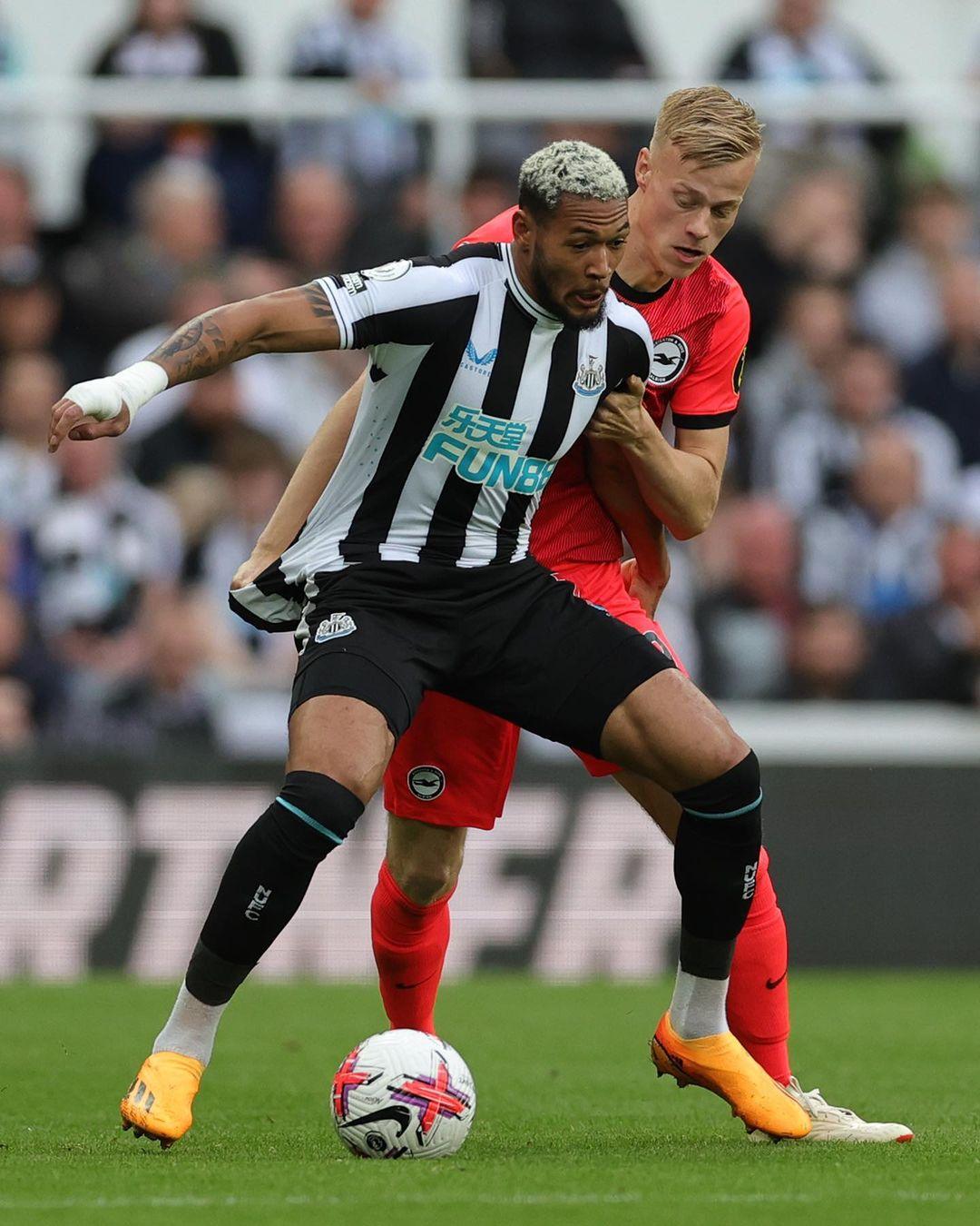 助他们打破 助他们打破